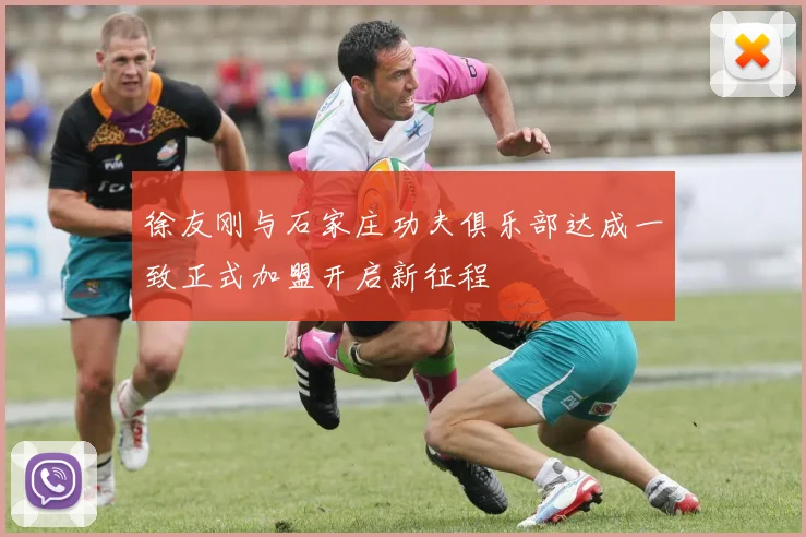 徐友刚与石家庄功夫俱乐部达成一致正式加盟开启新征程